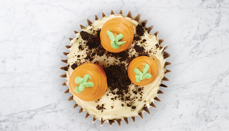 Carrot patch Easter campaign cake