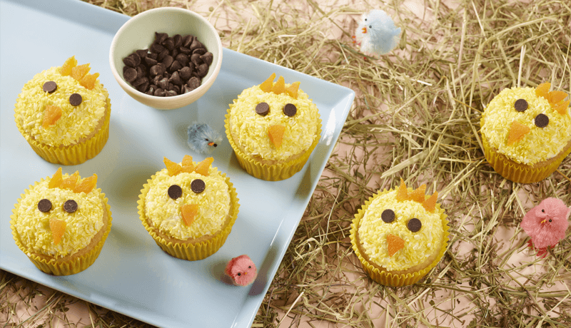 Easter chick cupcakes card