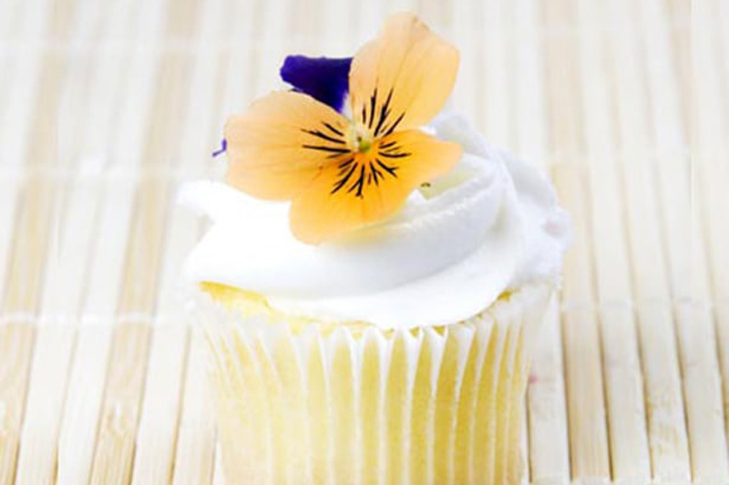 Edible Flowers for Cakes