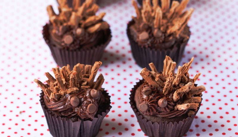 Hedgehog Cupcakes