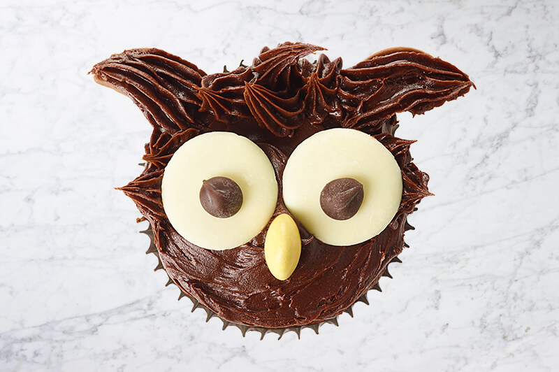 Owl Cupcake